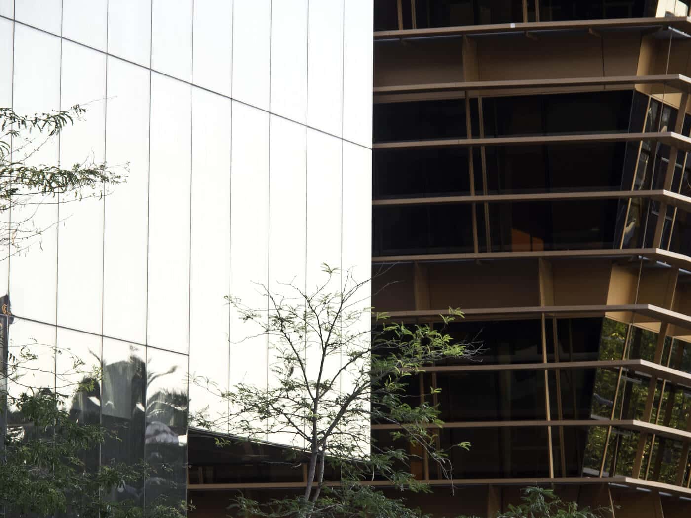 Fachadas de Vidrio: Qué Opción Conviene Más